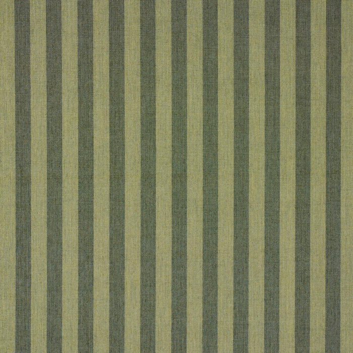 Schumacher Hanson Indoor/Outdoor Stripe Green Fabric 85805