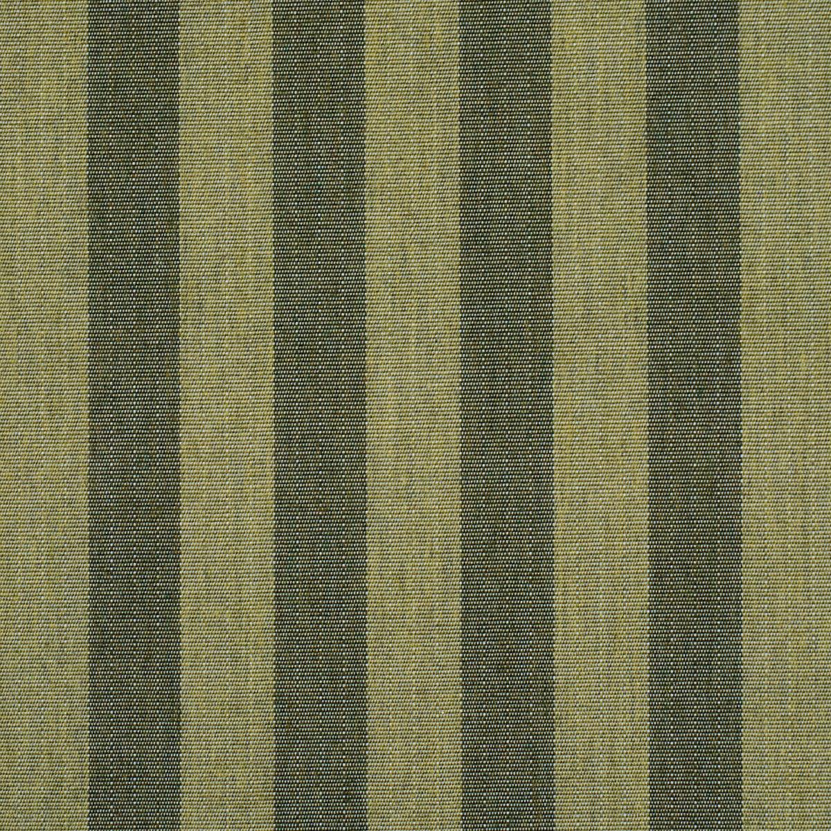 Schumacher Hanson Indoor/Outdoor Stripe Green Fabric 85805