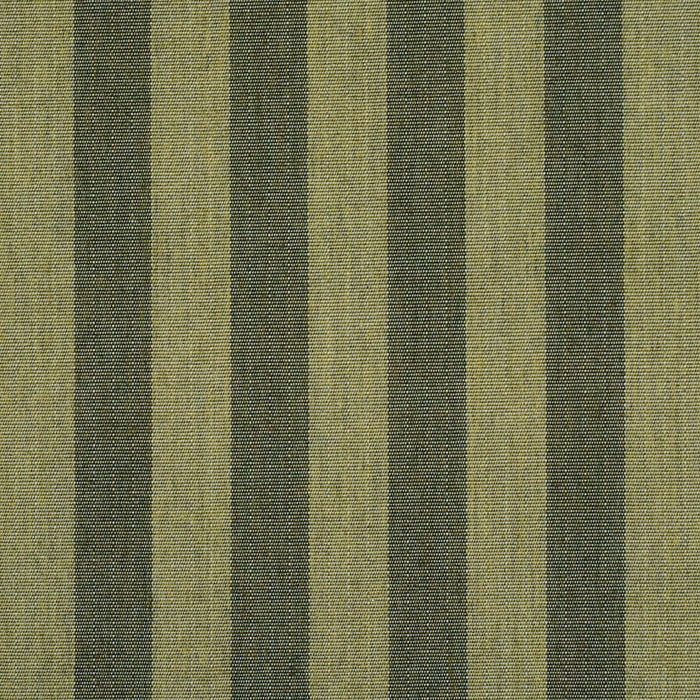 Schumacher Hanson Indoor/Outdoor Stripe Green Fabric 85805