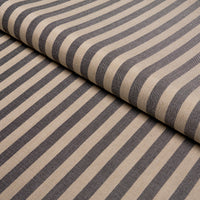 Schumacher Hanson Indoor/Outdoor Stripe Narrow Carbon Fabric 85812