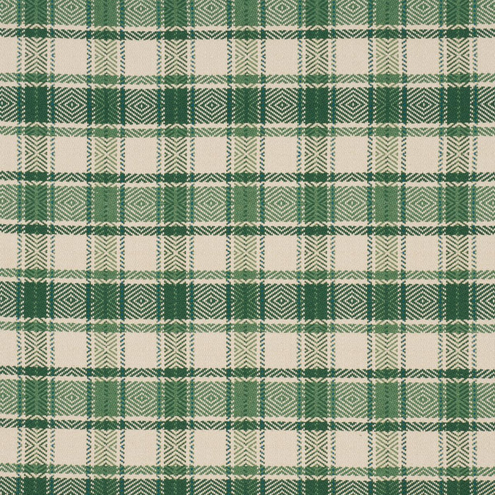Schumacher Heidi Check Leaf Fabric 85992