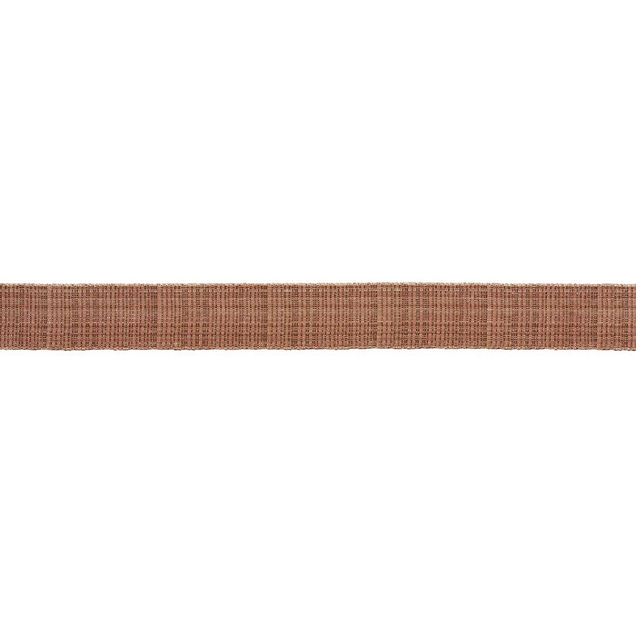 Schumacher Tweed Tape Medium Brown Trim 86192