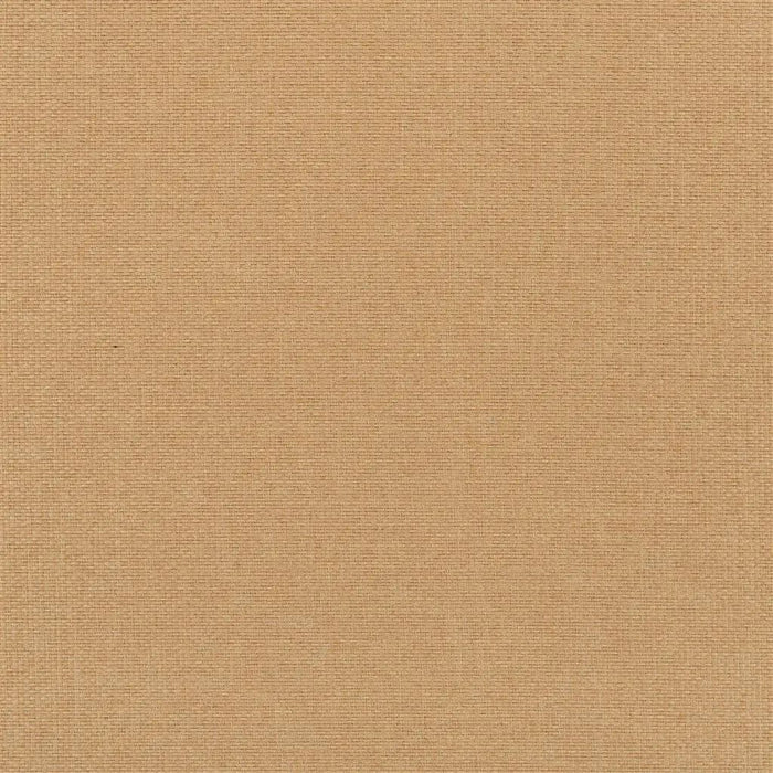 Designers Guild Belloni 16 Sample Sample FDG2768-16