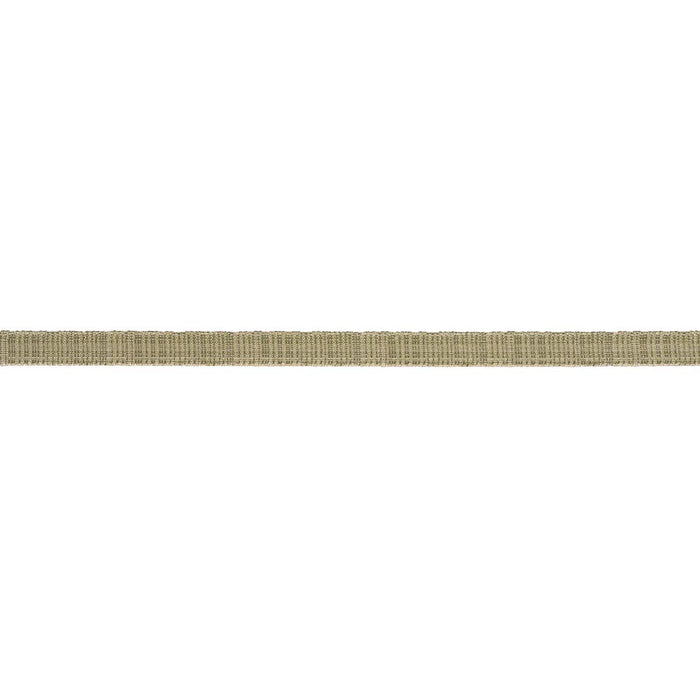Schumacher Tweed Tape Narrow Leaf Trim 86201