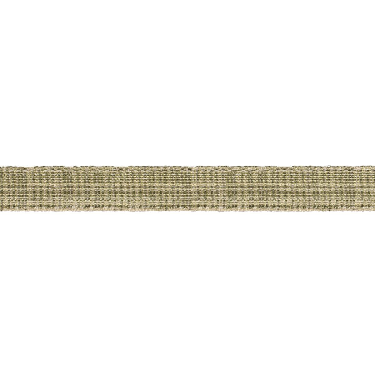 Schumacher Tweed Tape Narrow Leaf Trim 86201