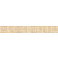 Schumacher Tweed Tape Narrow Yellow Trim 86202
