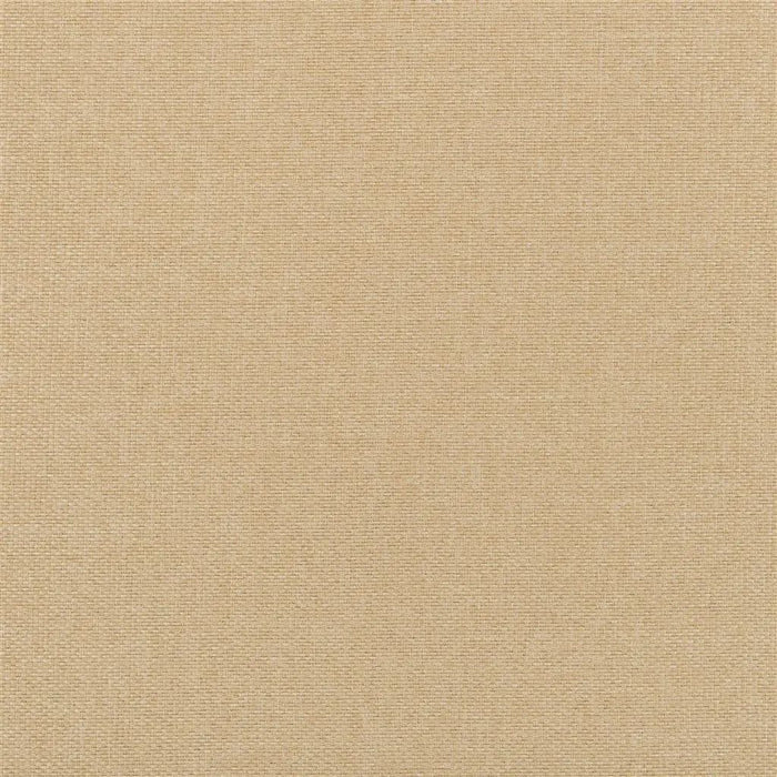 Designers Guild Belloni 17 Sample Sample FDG2768-17