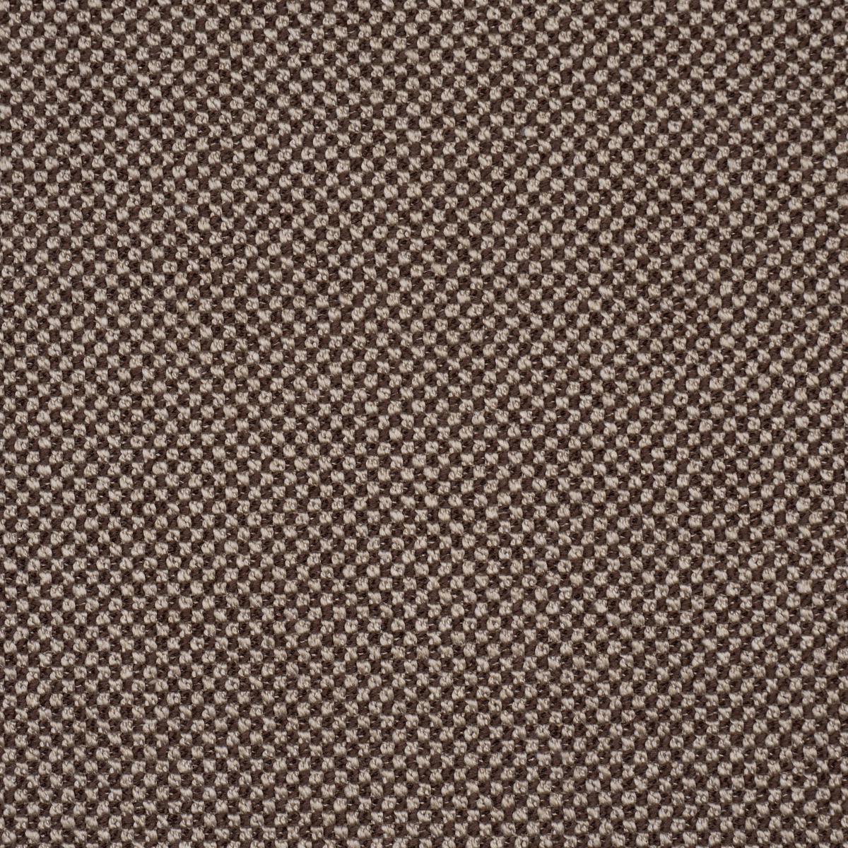 Schumacher Raye Performance Oat Fabric Sample 86264
