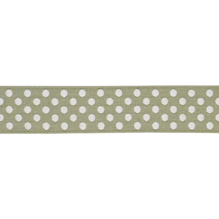 Schumacher Dotted Embroidered Tape Sage Trim Sample 86293