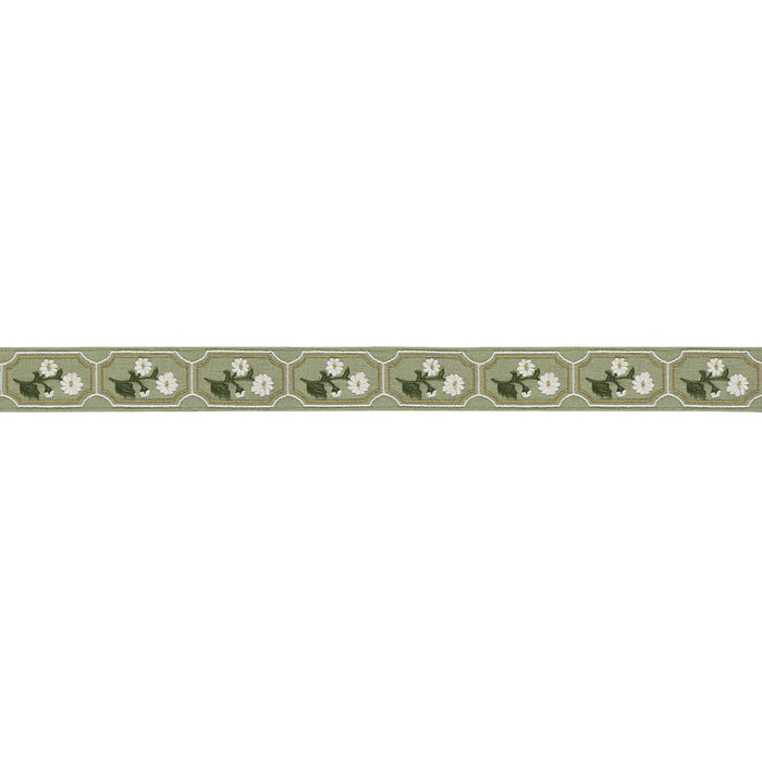 Schumacher Jolie Hand Embroidered Tape Green Trim Sample 86302