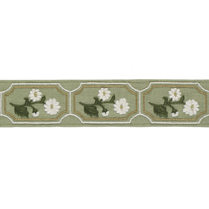 Schumacher Jolie Hand Embroidered Tape Green Trim Sample 86302