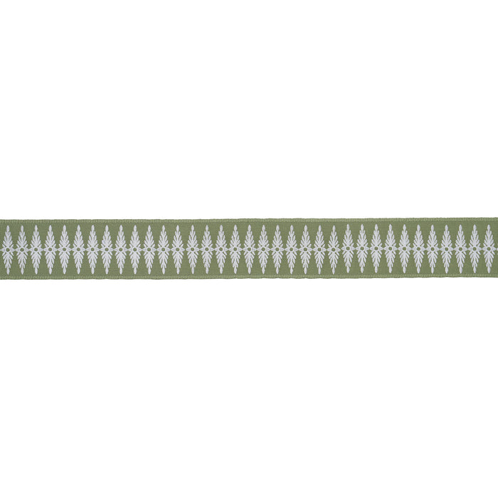 Schumacher Genevieve Embroidered Tape Green Trim Sample 86324