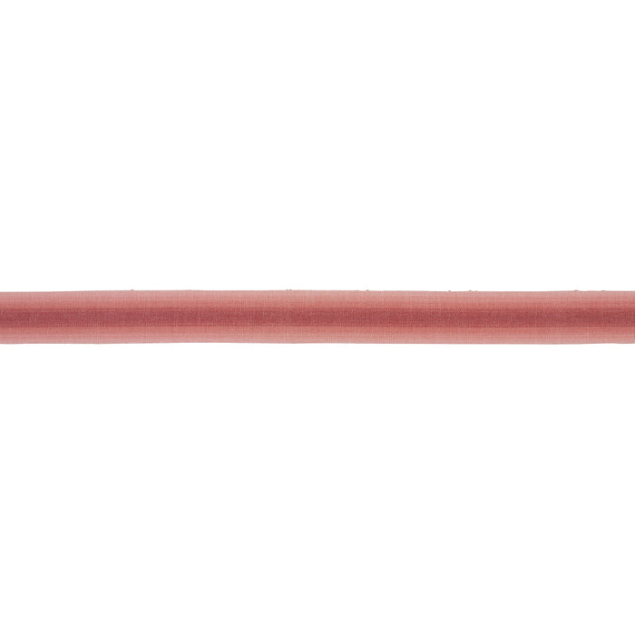 Schumacher Sunset Tape Narrow Nantucket Red Trim Sample 86353