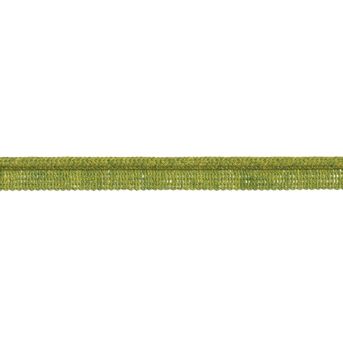 Schumacher Eubie Lip Cord Indoor/Outdoor Leaf Trim Sample 86500