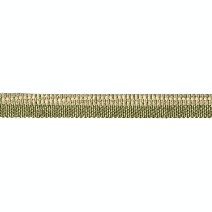 Schumacher Seville Ribbed Cord Green Trim Sample 86521