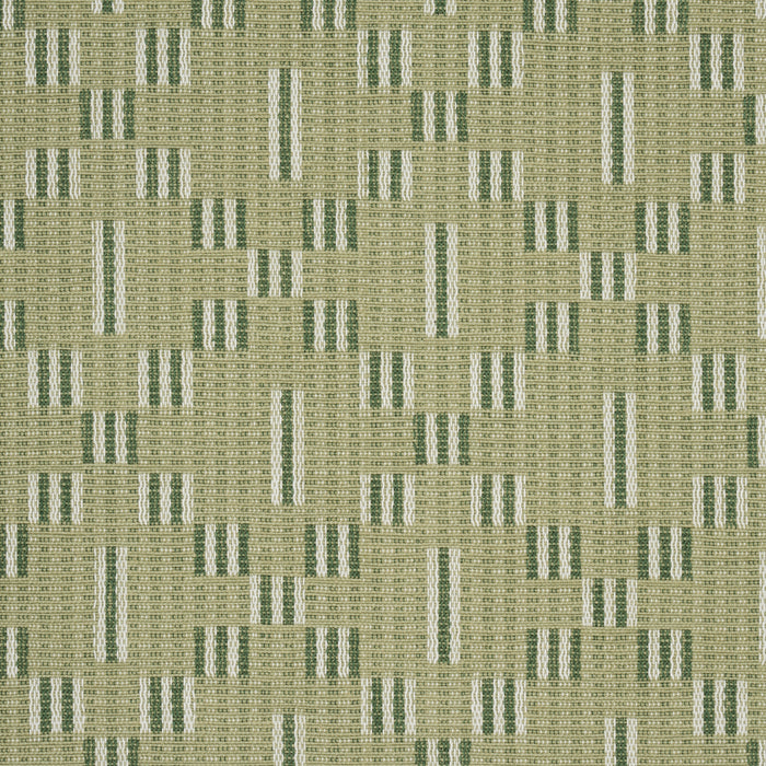 Schumacher Austin Green Fabric Sample 87140