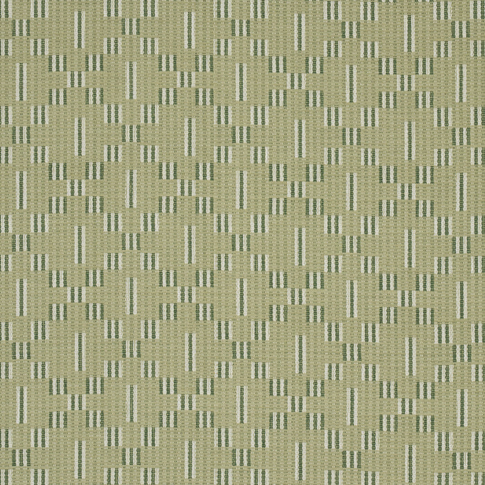 Schumacher Austin Green Fabric 87140