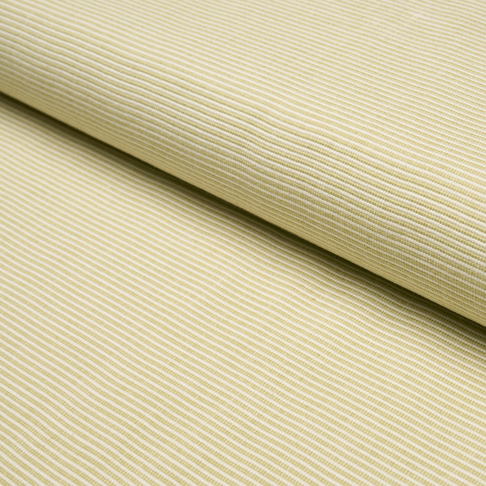 Schumacher Asher Leaf Fabric Sample 87163