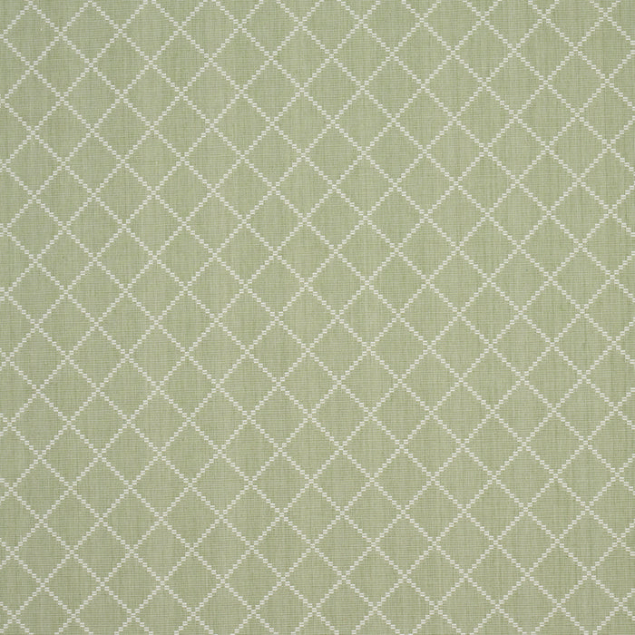 Schumacher Liam Sage Fabric 87170