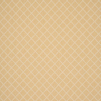 Schumacher Liam Yellow Fabric 87171
