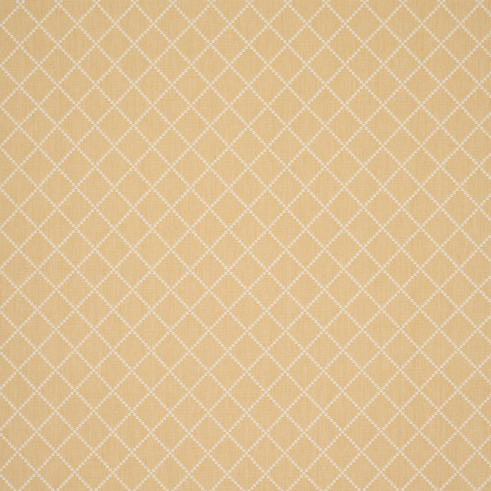 Schumacher Liam Yellow Fabric Sample 87171