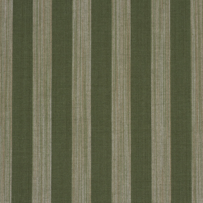 Schumacher Jonah Stripe Green Fabric Sample 87260