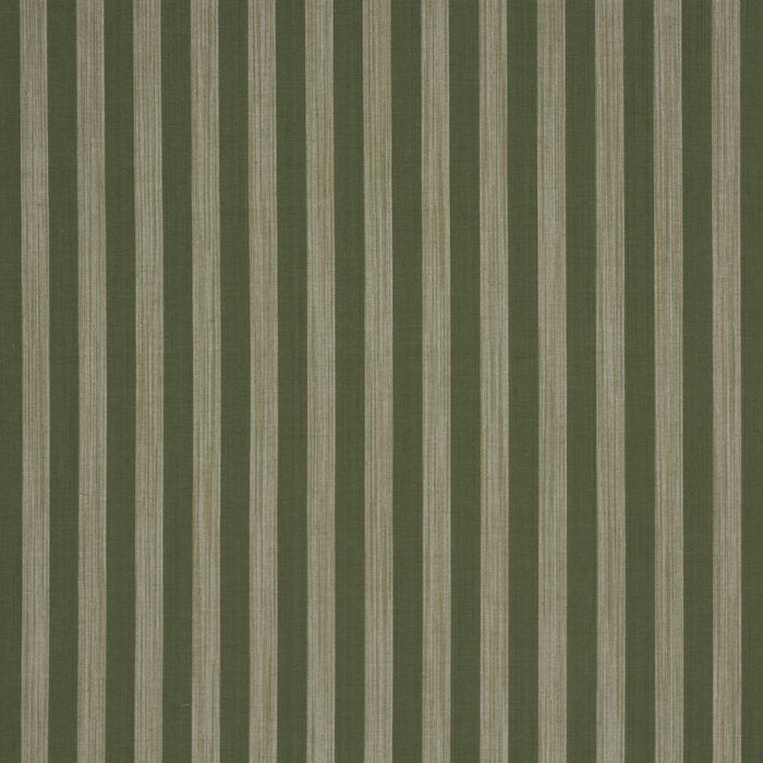 Schumacher Jonah Stripe Green Fabric Sample 87260