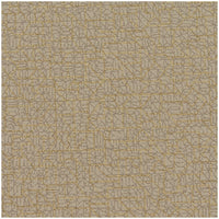 Winfield Thybony Radiate Sable Wallpaper WHF1531.WT.0