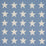 Schumacher Starfield Applique Sky Fabric 87601