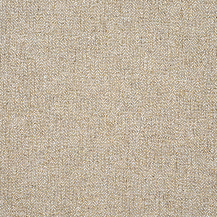 Schumacher Leona Performance Neutral Fabric Sample 87630