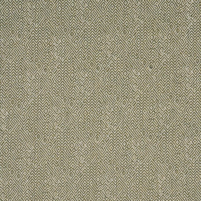 Schumacher Leona Performance Green Fabric Sample 87631