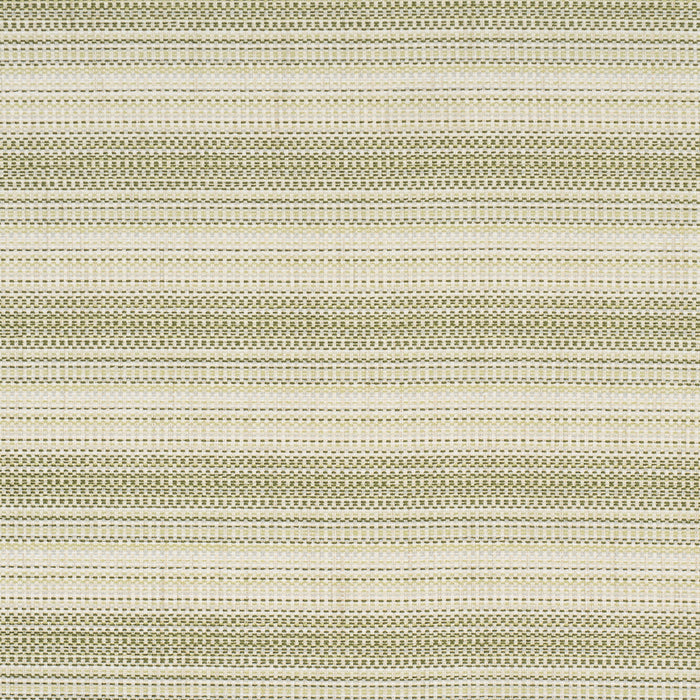 Schumacher Sabine Performance Stripe Green Fabric Sample 87641