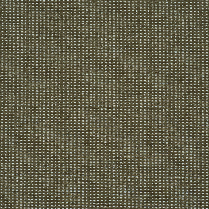 Schumacher Jasper Performance Chenille Green Fabric Sample 87652