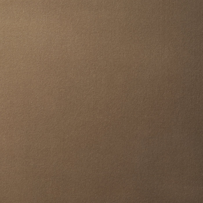 Schumacher Rocky Performance Velvet Fawn Fabric 87712