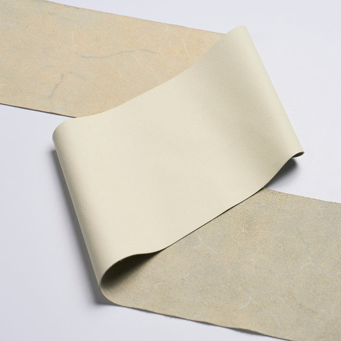 Schumacher Westby Leather Binding Ivory Trim 87720