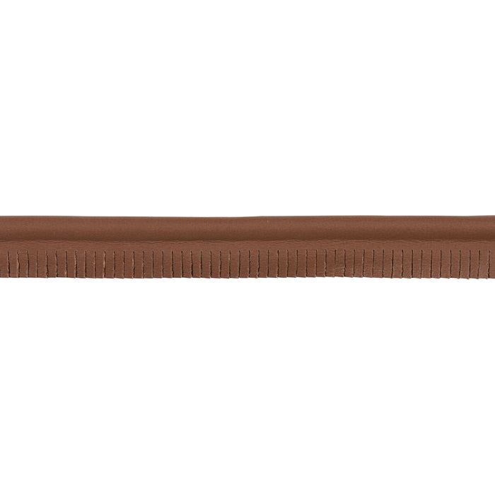 Schumacher Burnham Medium Leather Piping Brown Trim Sample 87754