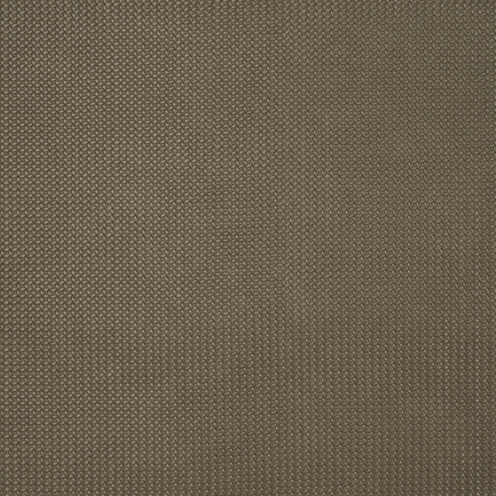 Schumacher Vegan Leather Rattan Indoor/Outdoor Ash Fabric 87802
