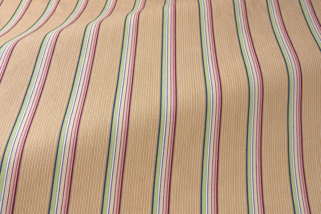 Pierre Frey Rayure berry Floraison Fabric F4109003