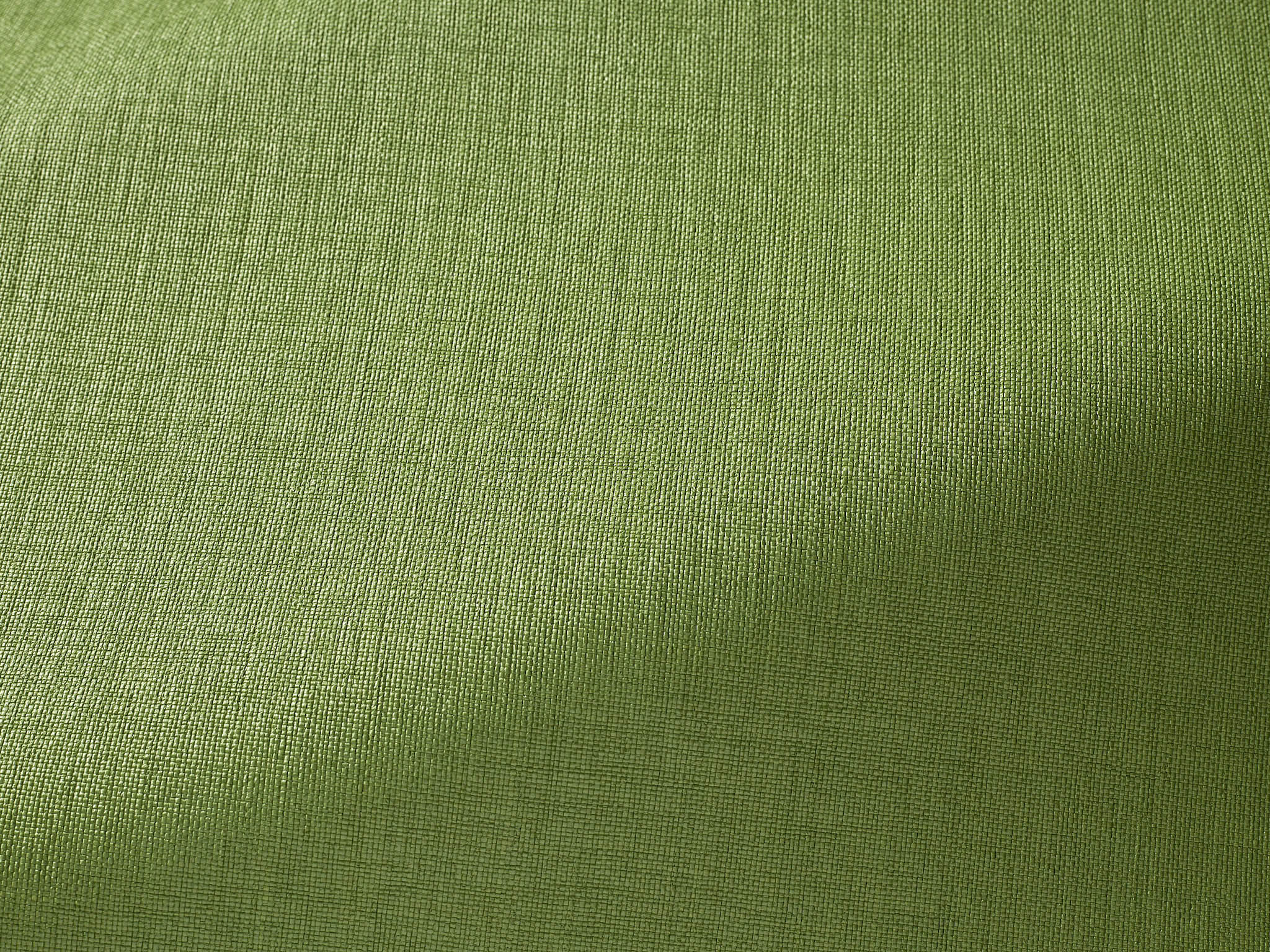 Pierre Frey Marius Herbe Fabric Sample F3533010
