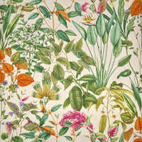 Pierre Frey Fantaisie tropicale Vegetal Fabric F4104001