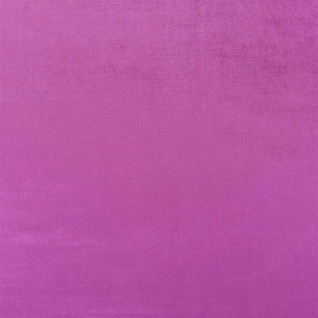 Designers Guild Vicenza 42 Sample Sample FDG2798-42