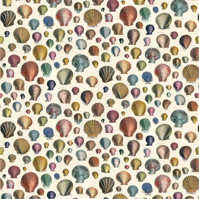 John Derian Captain Thomas Browns 1 Sample Sample FJD6003-01