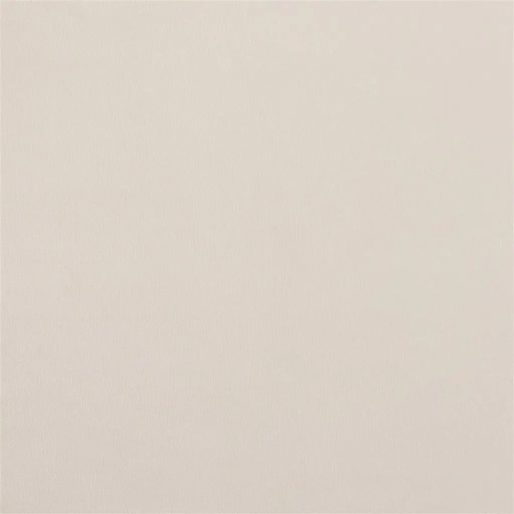 Designers Guild Trentino Stretto 10 Sample Sample FDG2838-10