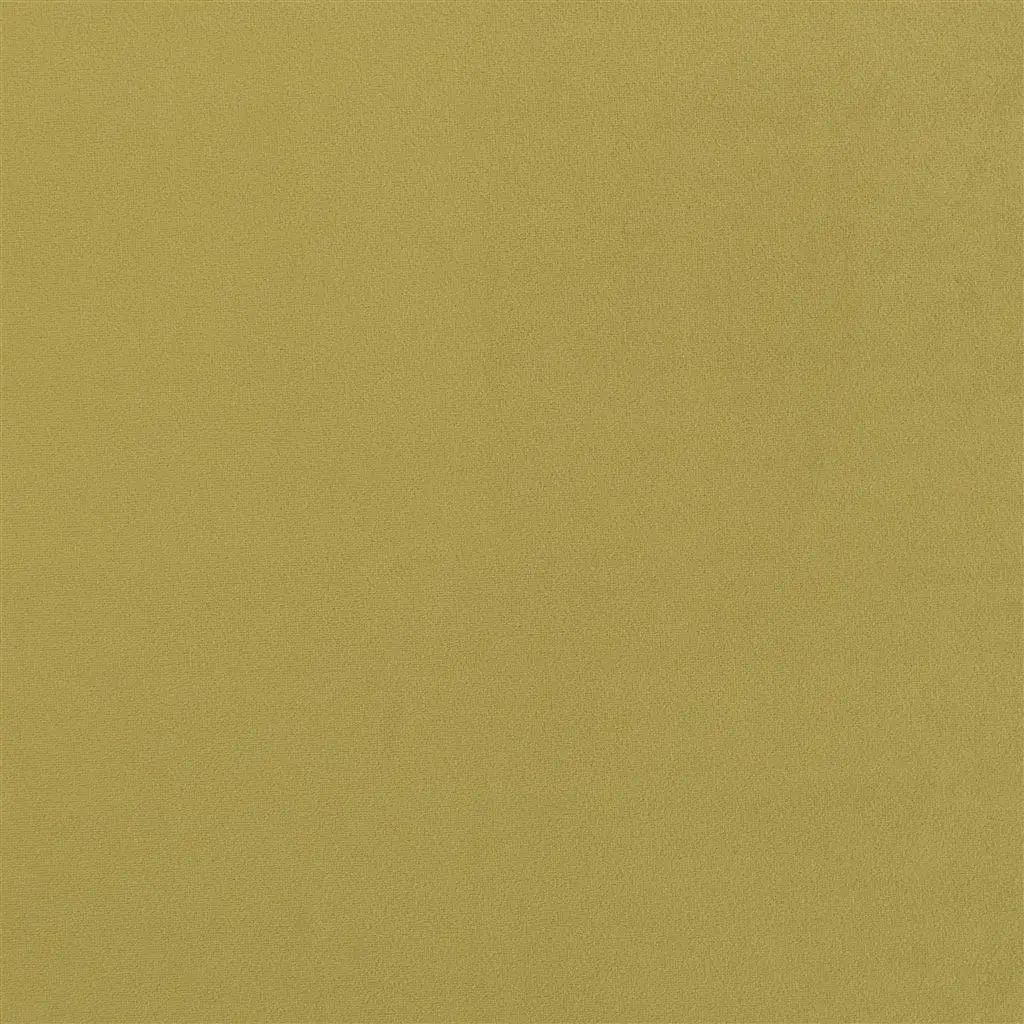 Designers Guild Trentino Stretto 17 Sample Sample FDG2838-17