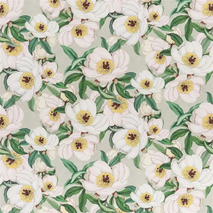 John Derian Paeonia Albiflora 1 Sample Sample FJD6004-01