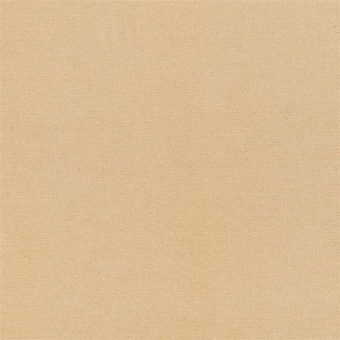 Designers Guild Madrid 14 Sample Sample FDG2797-14