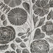 Christopher Farr Eden Cork Coal Wallpaper