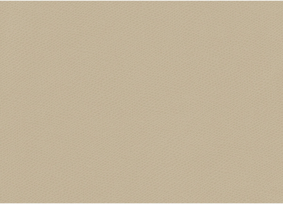 Kravet Contract Ophidian Oatmeal Fabric OPHIDIAN.101.0