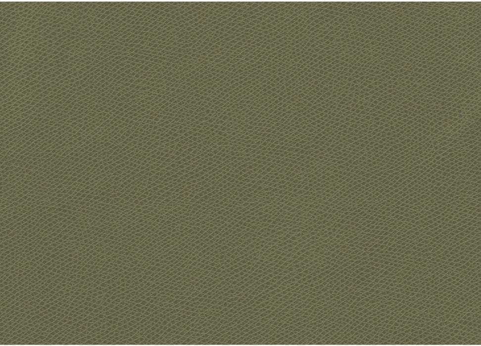 Kravet Contract Ophidian Sage Fabric OPHIDIAN.3.0