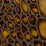 Kravet Couture L-Tuscany Hazelnut Leather L-TUSCANY.HAZELNUT.0